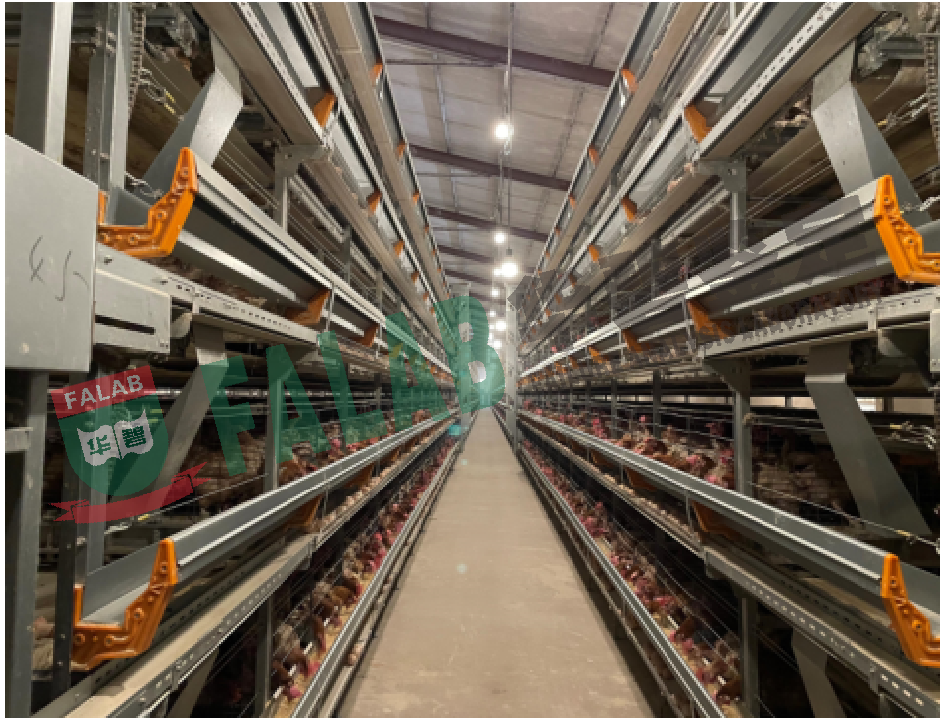 对涉案蛋鸡养殖设备进行质量鉴定