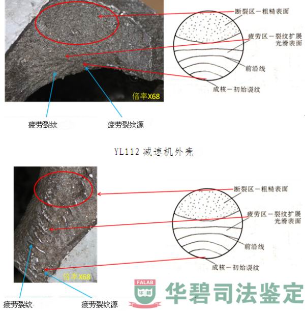 减速机体视显微镜观察