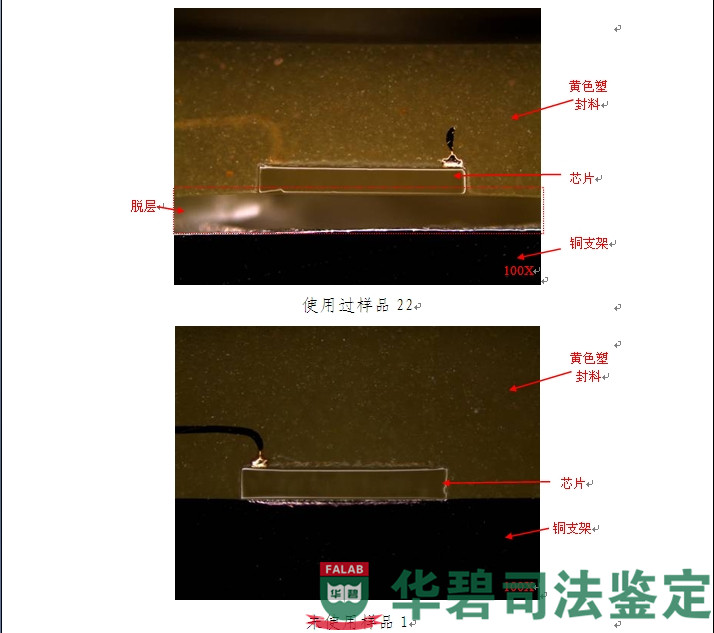 图7：切片分析图片