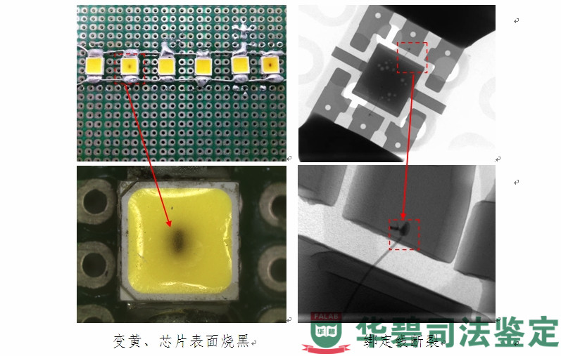 图9：模拟实验图片