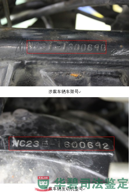 涉案车辆外观及标识